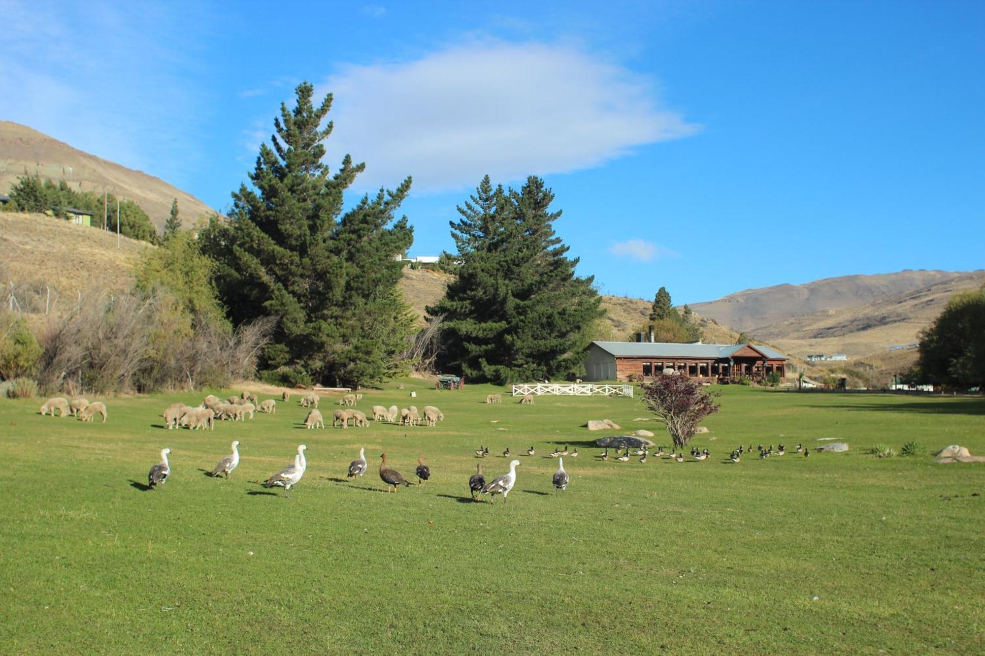 Kau Yatun Hotel Boutique El Calafate Kültér fotó