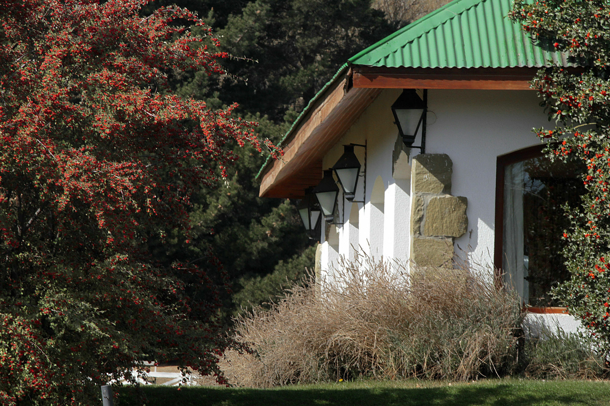 Kau Yatun Hotel Boutique El Calafate Kültér fotó